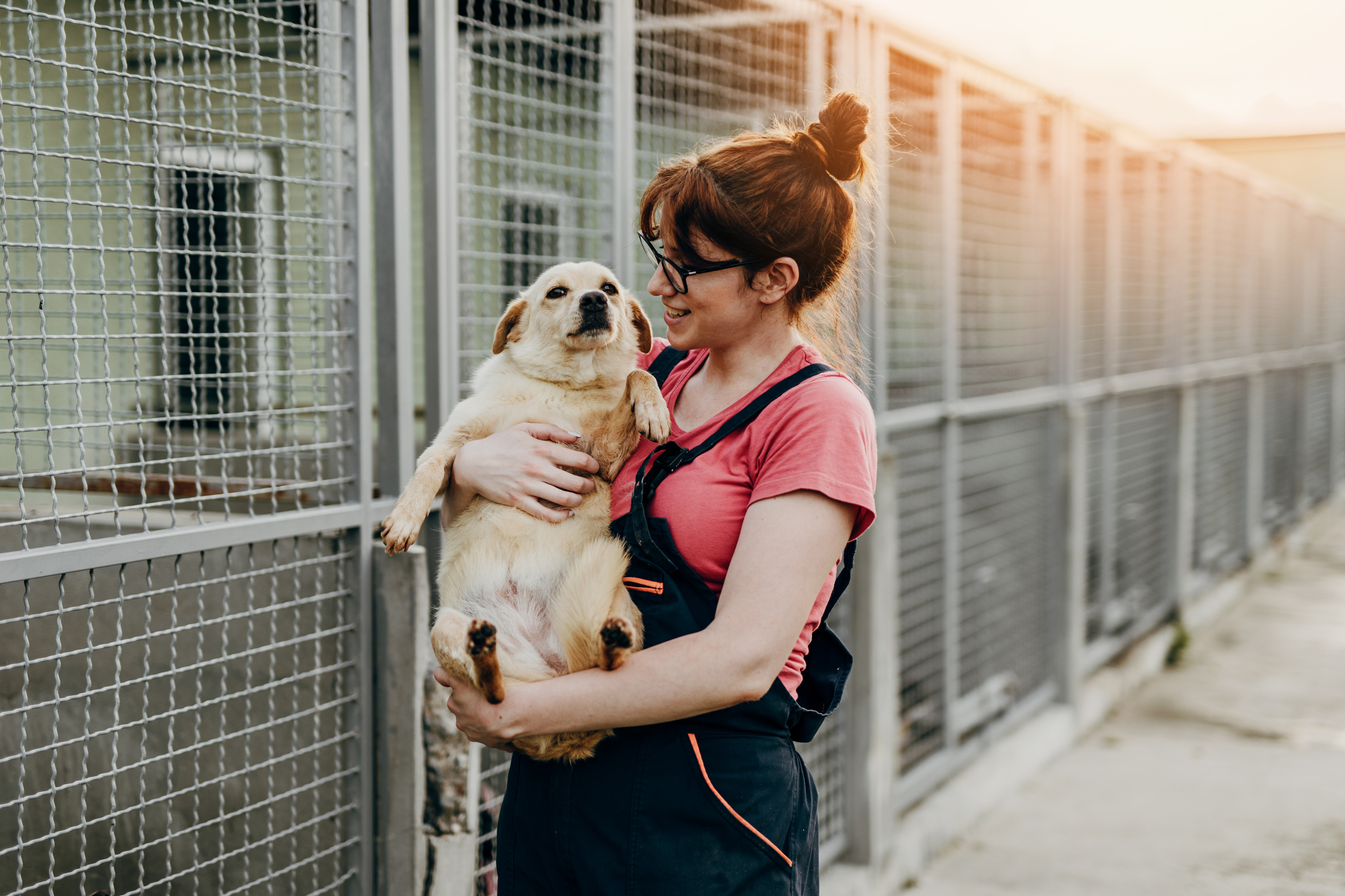 Woman Adopting a Dog from an Animal Shelter
